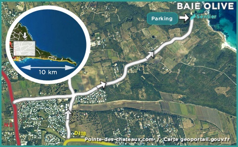 Carte de la baie olive