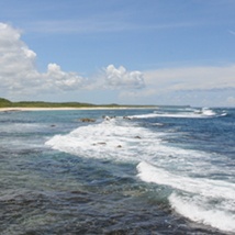 Les salines