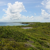 Péninsule de la Pointe