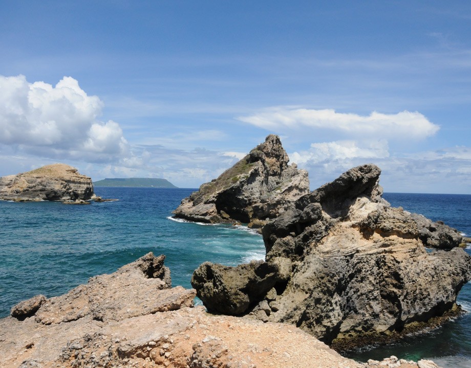 Pointe des colibris